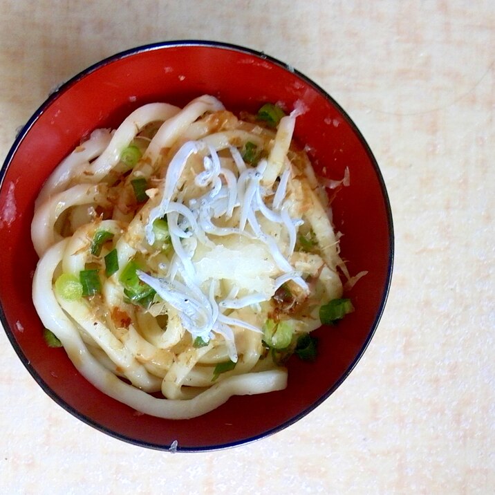 さっぱりシラスうどん